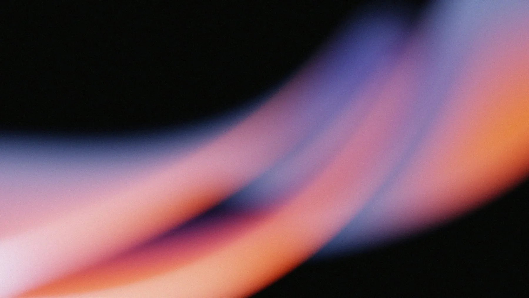 wave.webp